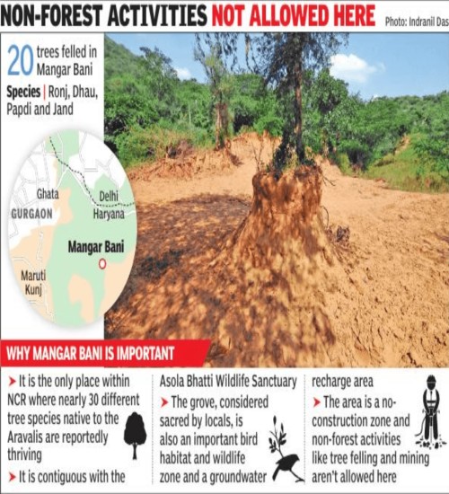Tree felling, mining still go unchecked in Mangar Bani